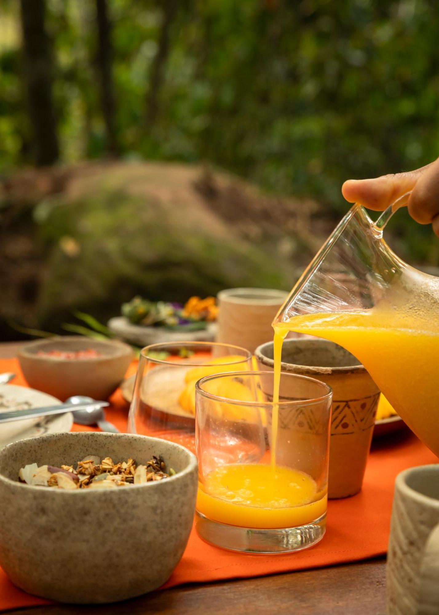 Bosque Guardian Lodge Тарапото Экстерьер фото